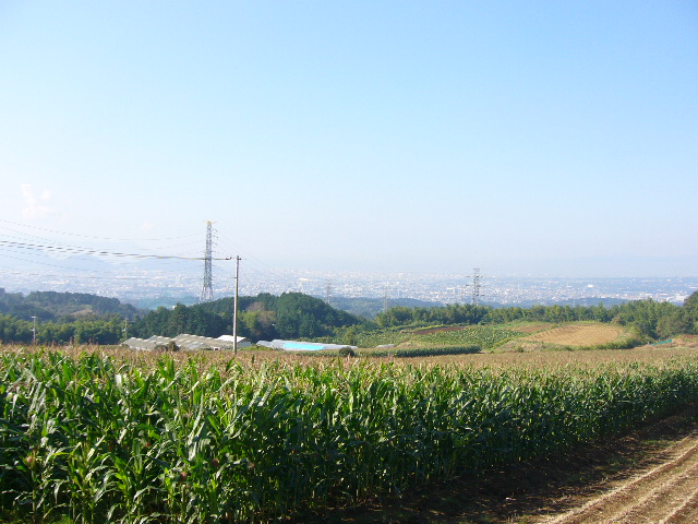 e0015108_22174523.jpg
