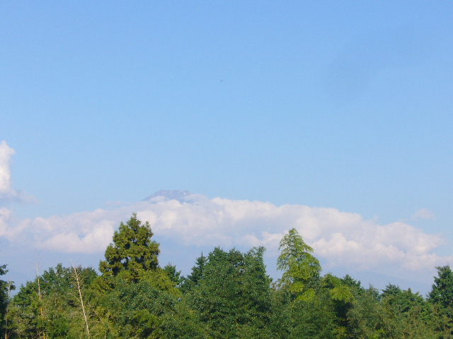 e0015108_22181321.jpg