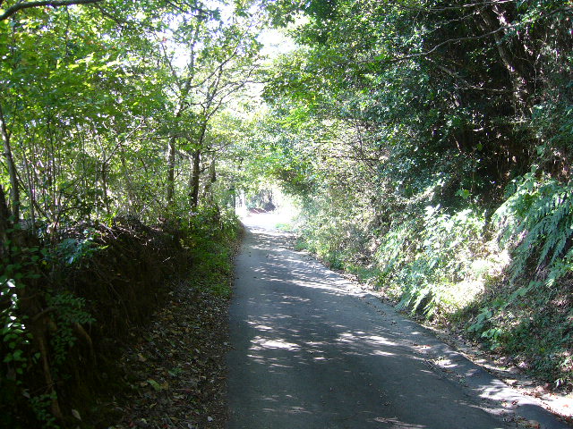 e0015108_22194381.jpg