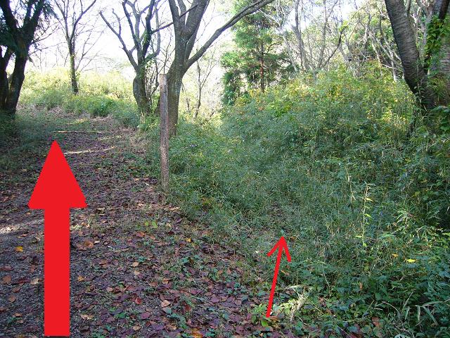 e0015108_2244857.jpg