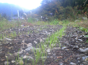 f0135908_2253583.jpg