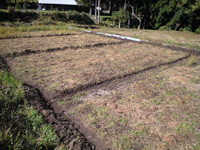 f0135908_22543222.jpg