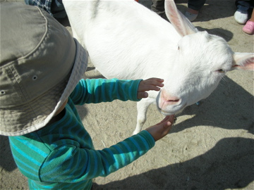 c0145209_234415.jpg