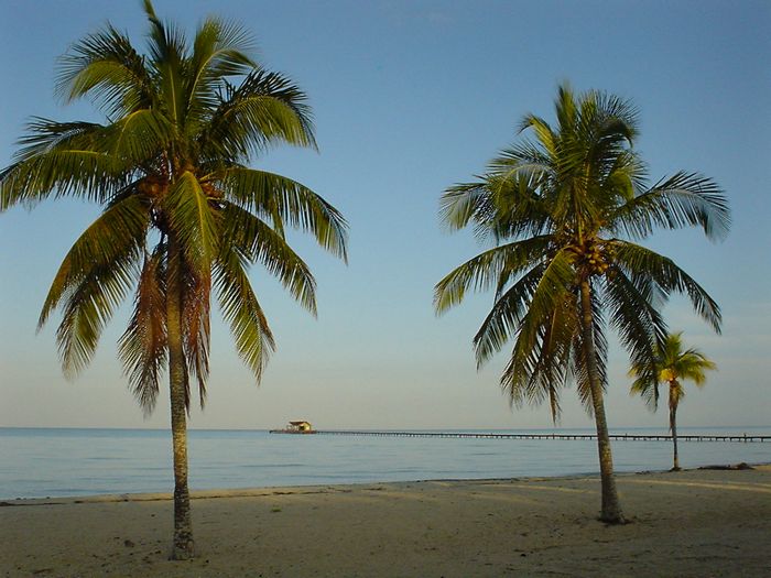 f0183814_8121098.jpg