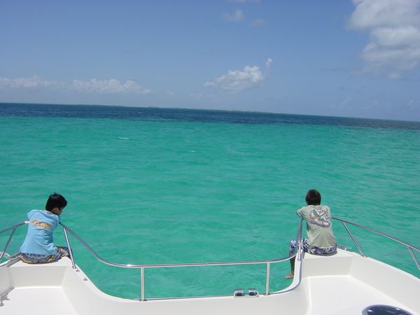 f0183814_8143649.jpg