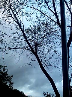 a0101715_0433748.jpg