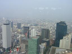 c0046316_22463694.jpg