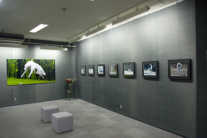 b0085526_1437528.jpg