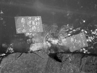 c0159828_22592391.jpg