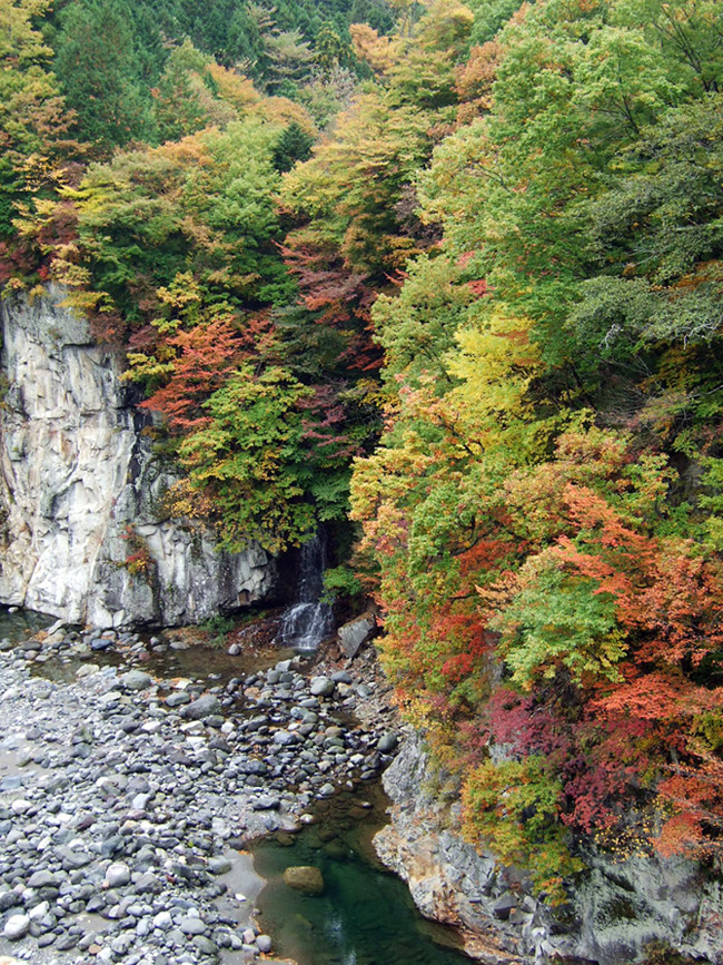 d0086329_2152227.jpg