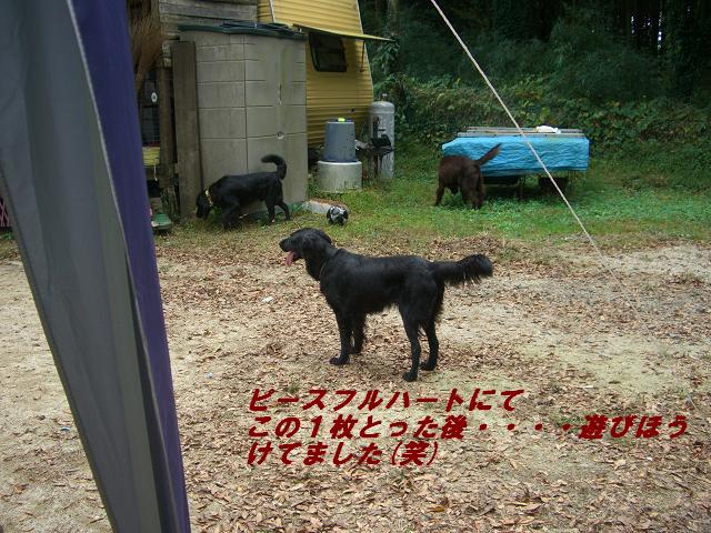 a0068231_225889.jpg