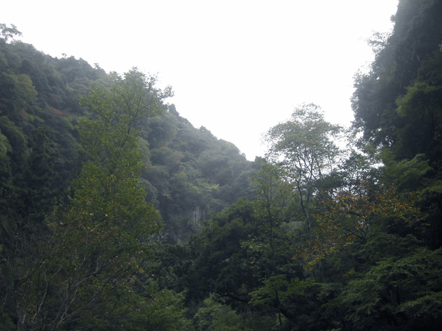 f0039934_23251486.jpg