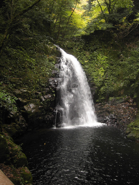f0039934_23263458.jpg