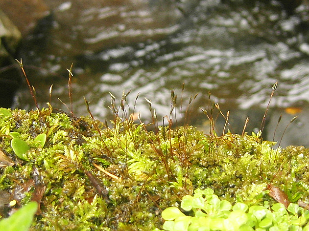 f0039934_23304818.jpg