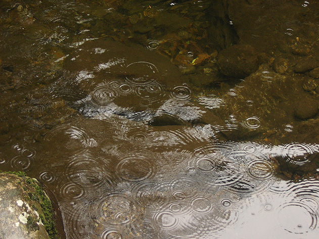 f0039934_23354122.jpg