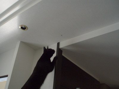 c0132438_2132863.jpg
