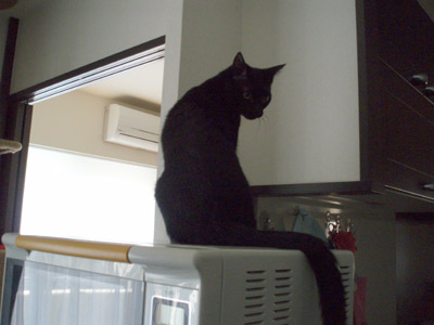 c0132438_216475.jpg