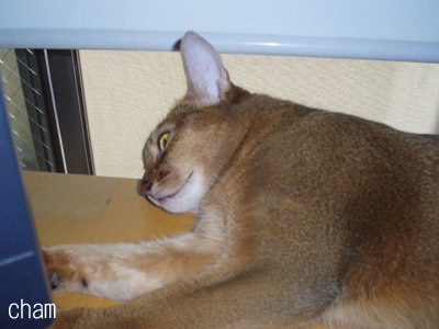 c0132438_2182938.jpg