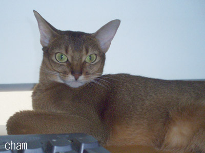 c0132438_21855100.jpg