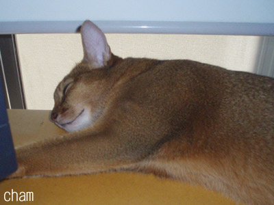 c0132438_218775.jpg