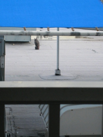 c0043751_19760.jpg