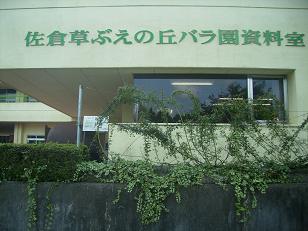 c0164052_531766.jpg