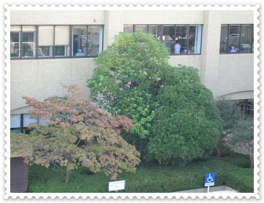 c0020653_224471.jpg