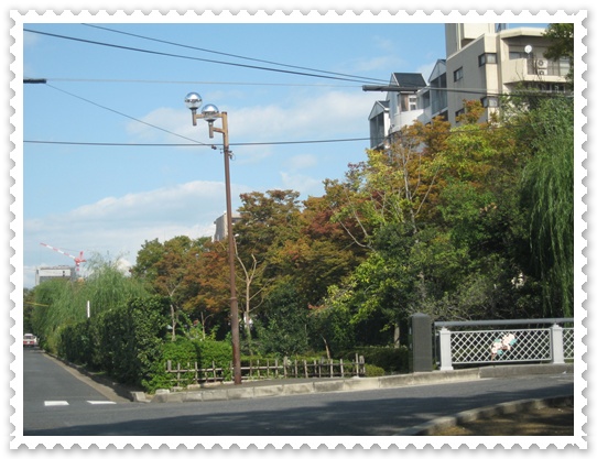 c0020653_22512423.jpg