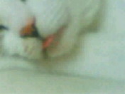 c0052756_15283873.jpg