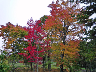 b0045357_8403737.jpg