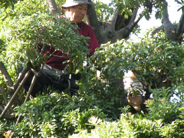 f0013459_15242966.jpg