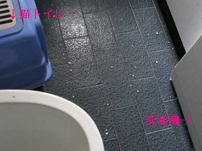 f0077159_1271070.jpg