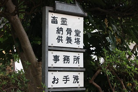 f0171559_2313551.jpg