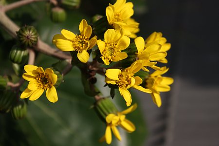 f0171559_23345728.jpg