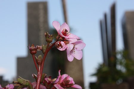 f0171559_23353563.jpg