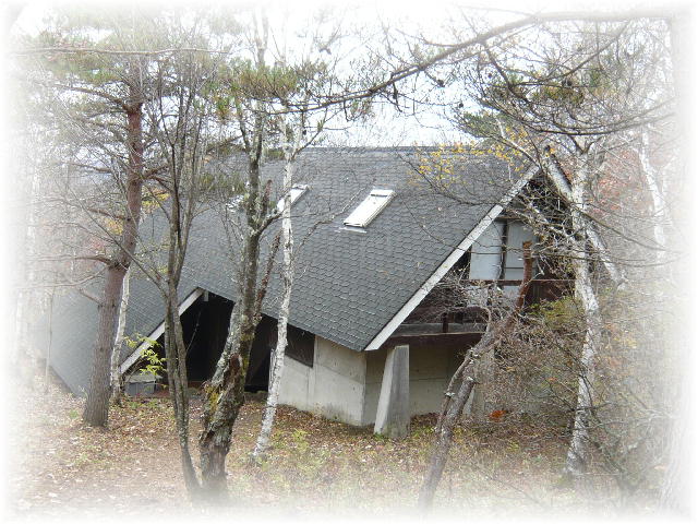 f0057565_17192792.jpg