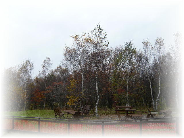 f0057565_173714.jpg