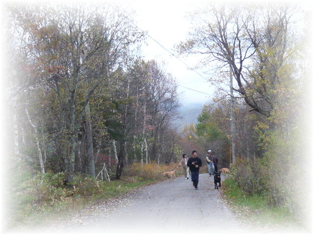f0057565_17481197.jpg