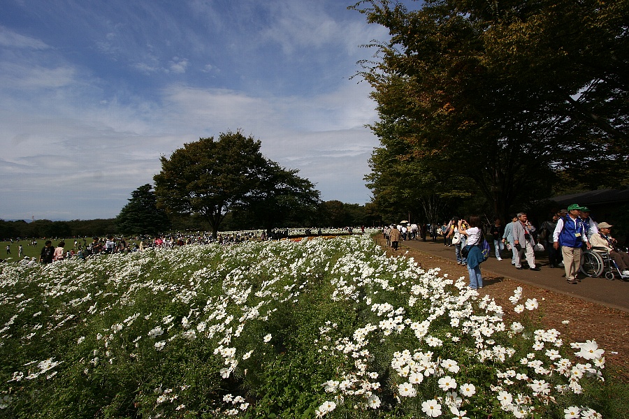 b0084270_23304571.jpg