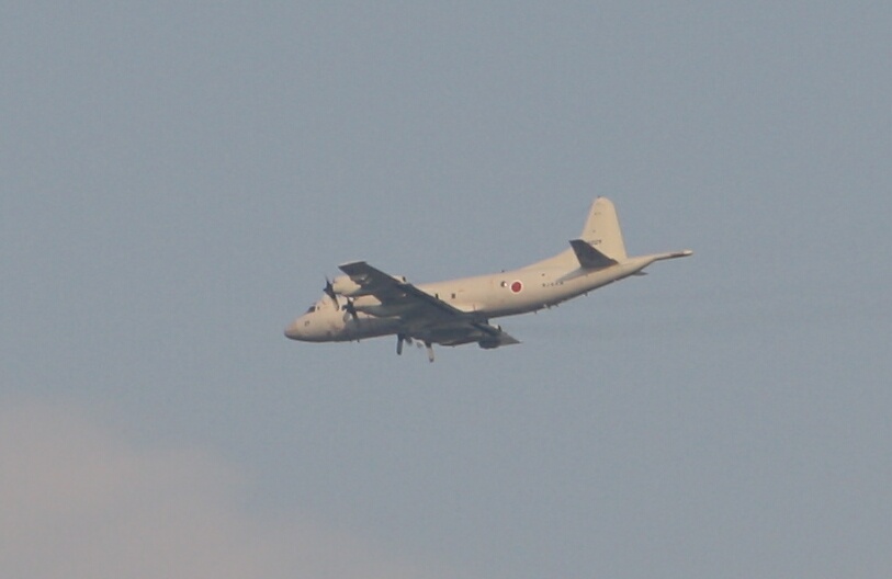 c0073377_2351182.jpg