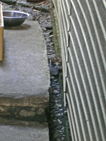 e0112077_0104039.jpg
