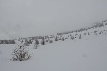 d0079579_17281176.jpg