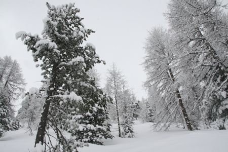 d0079579_17292317.jpg