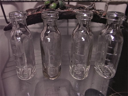 f0089079_2194458.jpg