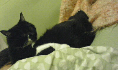 c0023782_2235320.jpg