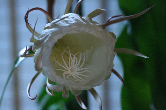b0115085_21345445.jpg