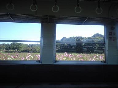 c0046587_21461736.jpg