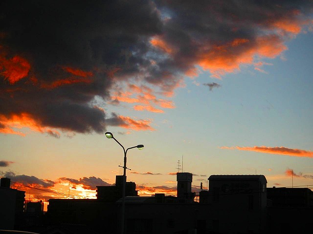 c0160387_2033528.jpg