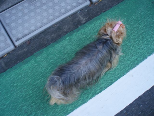 f0130894_2122477.jpg