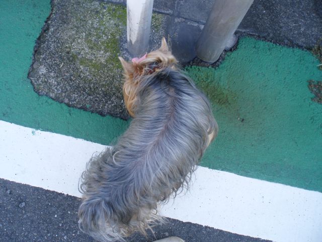 f0130894_21232431.jpg